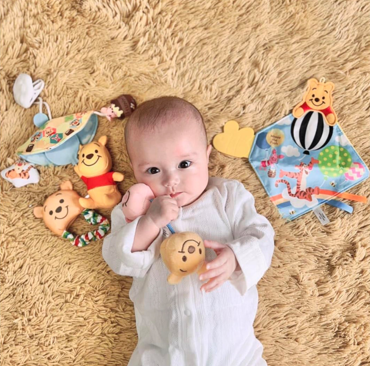 Disney Winnie the Pooh 咬咬玩具禮盒
