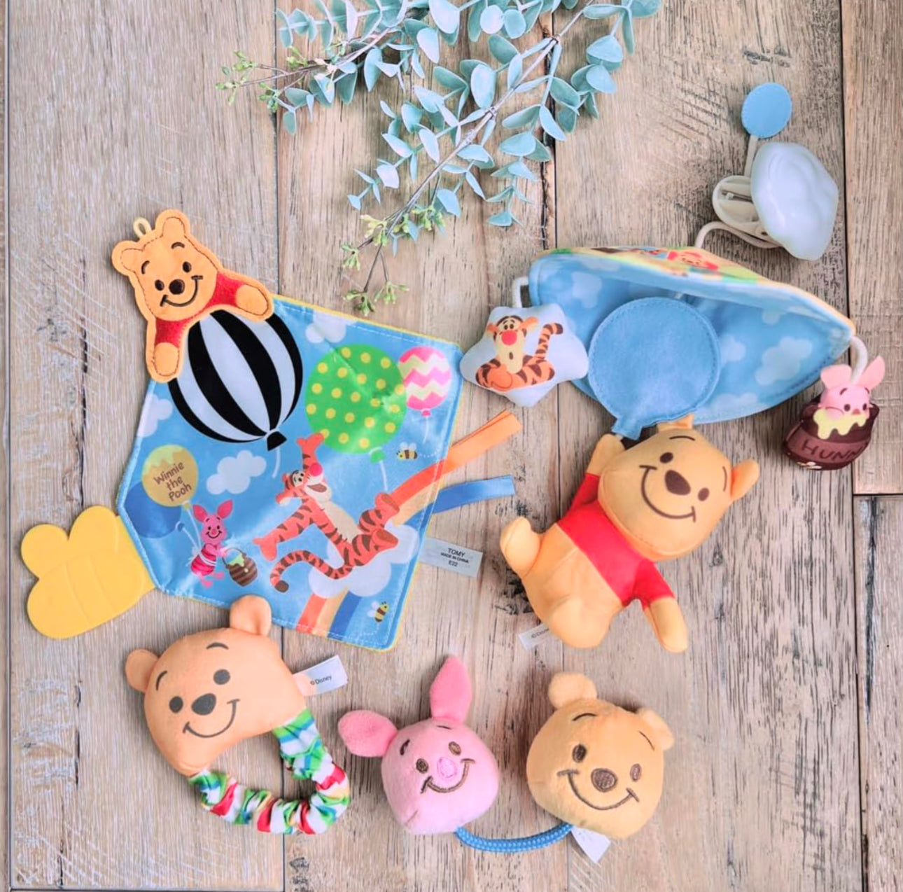 Disney Winnie the Pooh 咬咬玩具禮盒
