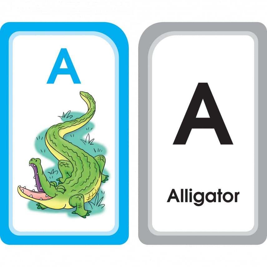 School Zone Flash Card 學習記憶快閃卡 - Alphabet Match