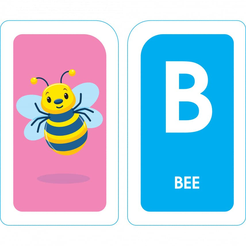 School Zone Flash Card 學習記憶快閃卡 - Alphabet