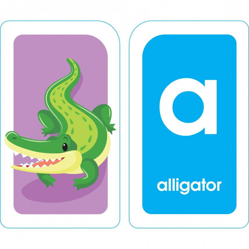 School Zone Flash Card 學習記憶快閃卡 - Alphabet