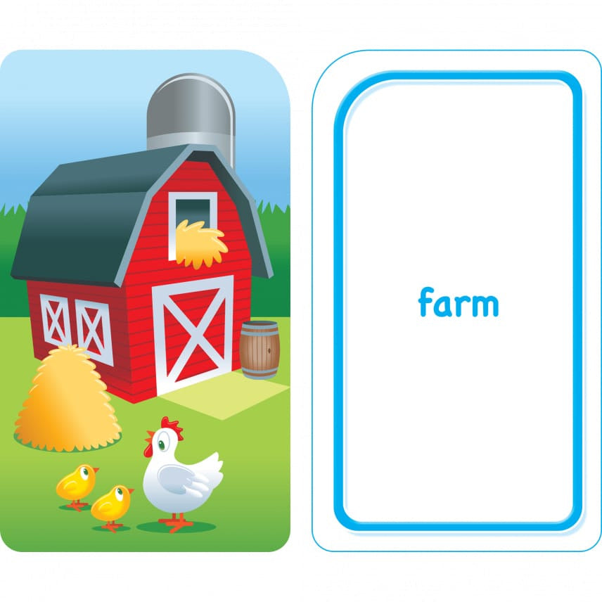 School Zone Flash Card 學習記憶快閃卡 - Colors, Shapes & More