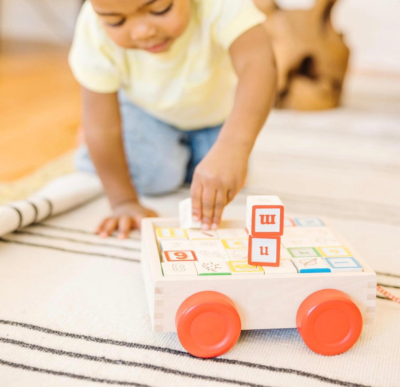 Melissa & Doug -  多功能學習方塊套裝