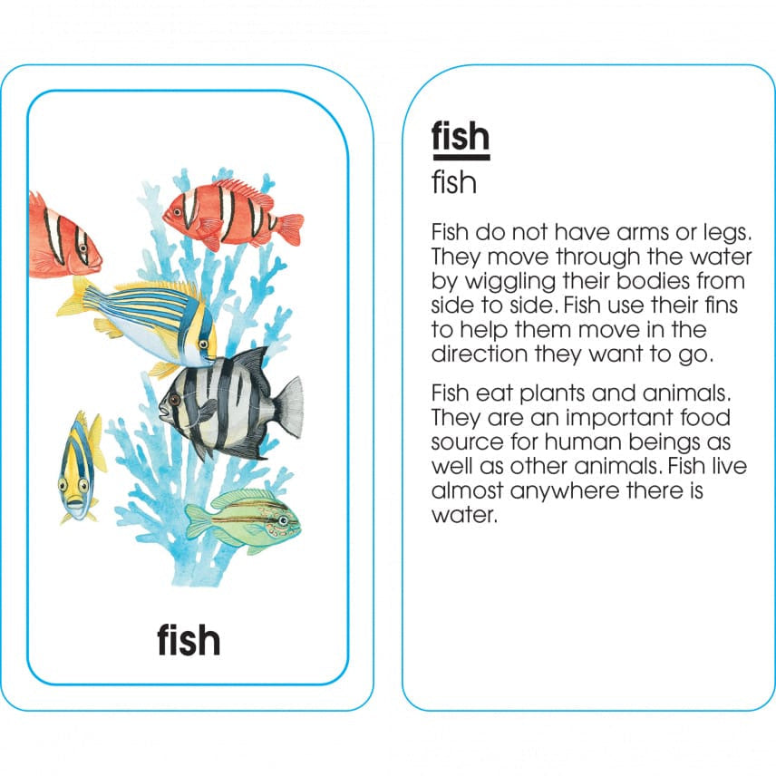 School Zone Flash Card 學習記憶快閃卡 - Animals of All Kinds