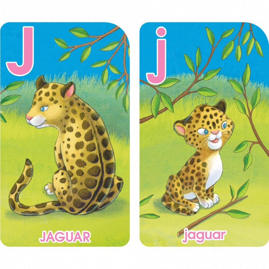 School Zone Game Card 學習記憶快閃卡 - Go Fish Alphabet